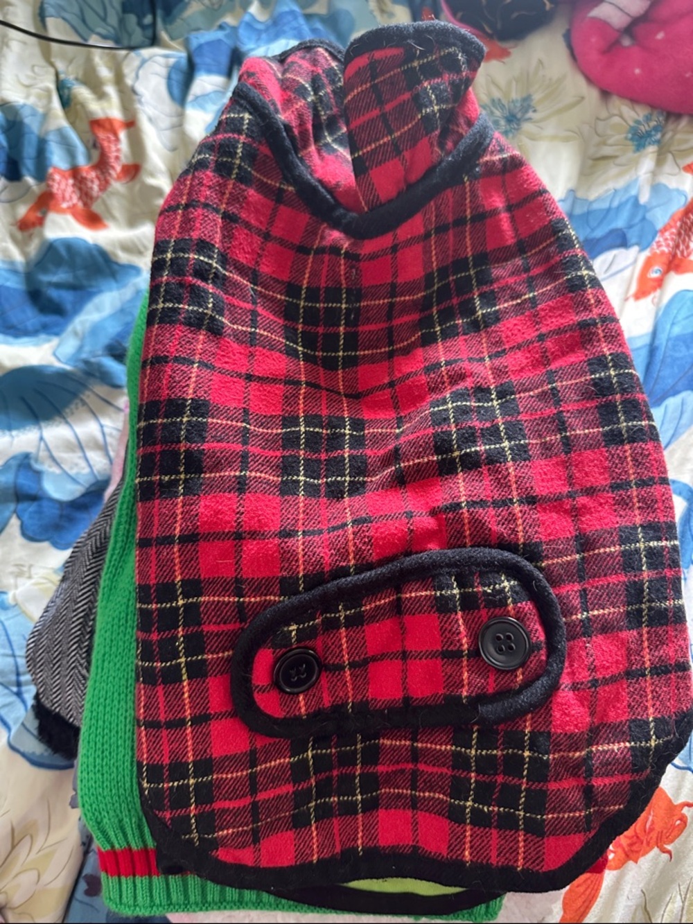 11 pieces of dog clothes - Picture 11 of 12